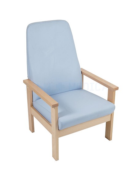 Blue Armchair